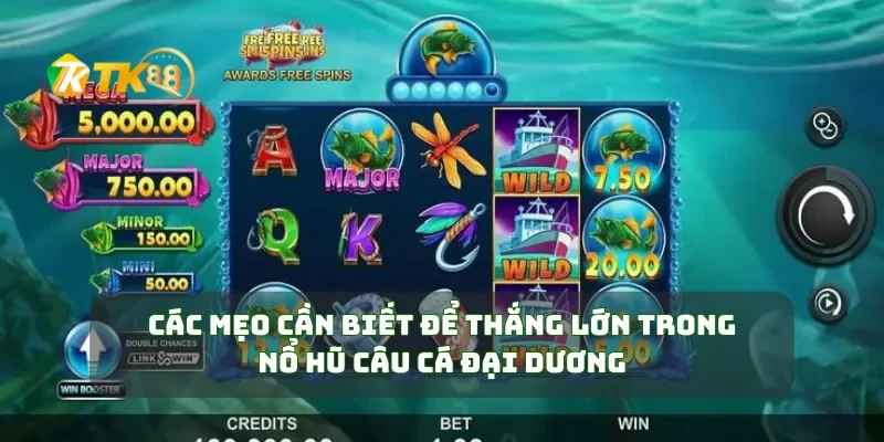 Các mẹo cần biết để thắng lớn trong nổ hũ câu cá đại dương