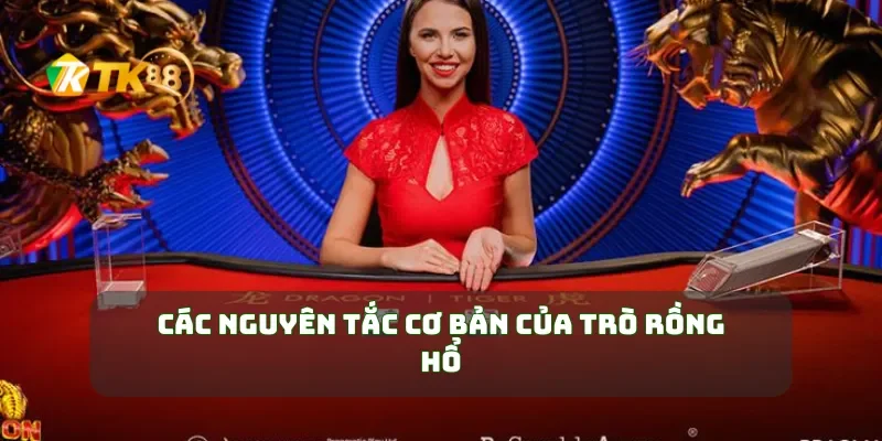 Các nguyên tắc cơ bản của trò Rồng Hổ