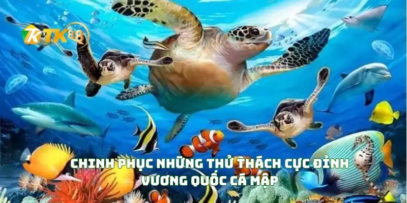 Chinh Phục Những Thử Thách Cực Đỉnh Vương Quốc Cá Mập