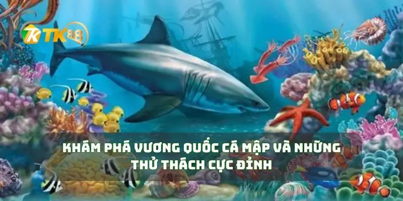 Khám phá vương quốc cá mập và những thử thách cực đỉnh