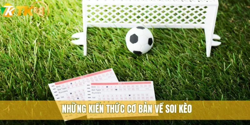 Những kiến thức cơ bản về soi kèo
